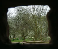 Blossom at Lower Brockhampton