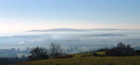 a sea of low mist