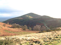 Looking south from North