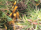 Oct 04