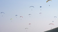 Swarm of paragliders