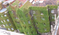 Tower view 2