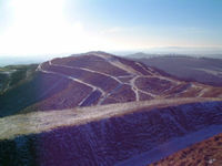 Frosted British Camp